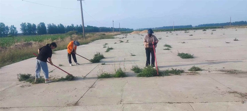 1655432705489566.jpg 打掃曬場.jpg