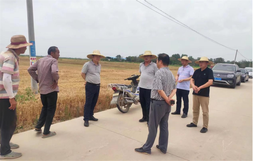 1655432882203109.png 集團公司馬青奇總經理視察指導場聯合種植項目夏收工作(1).png