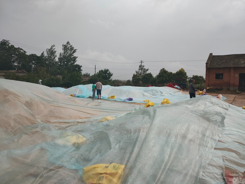 1655692272760401.jpg 微信圖片_202206100929331.jpg