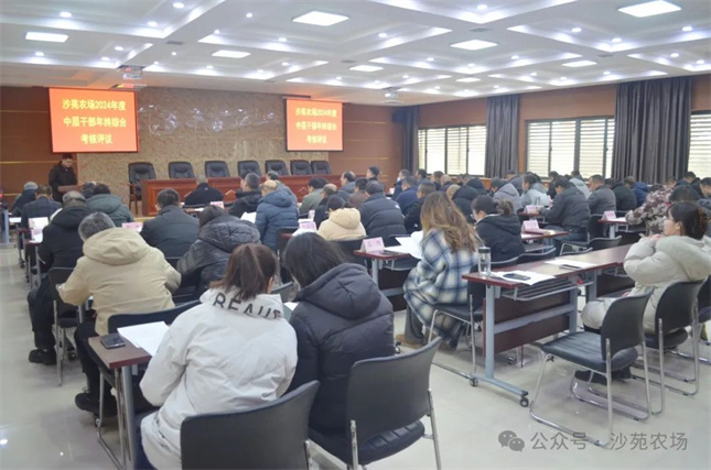 1736734352488040.jpg 640 (1).jpg