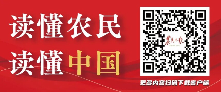 1744683522696375.jpg 微信圖片8.jpg