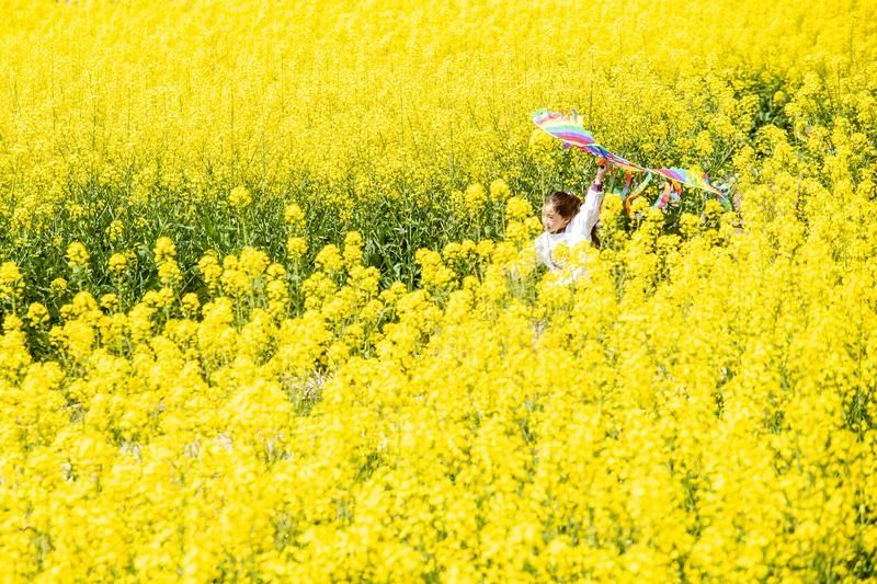 1744684815456963.jpg 微信圖片850.jpg