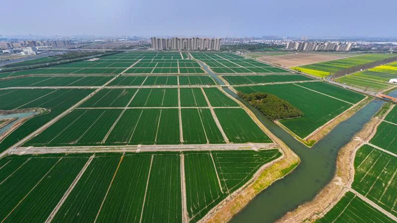 1744684833461004.jpg 微信圖片860.jpg