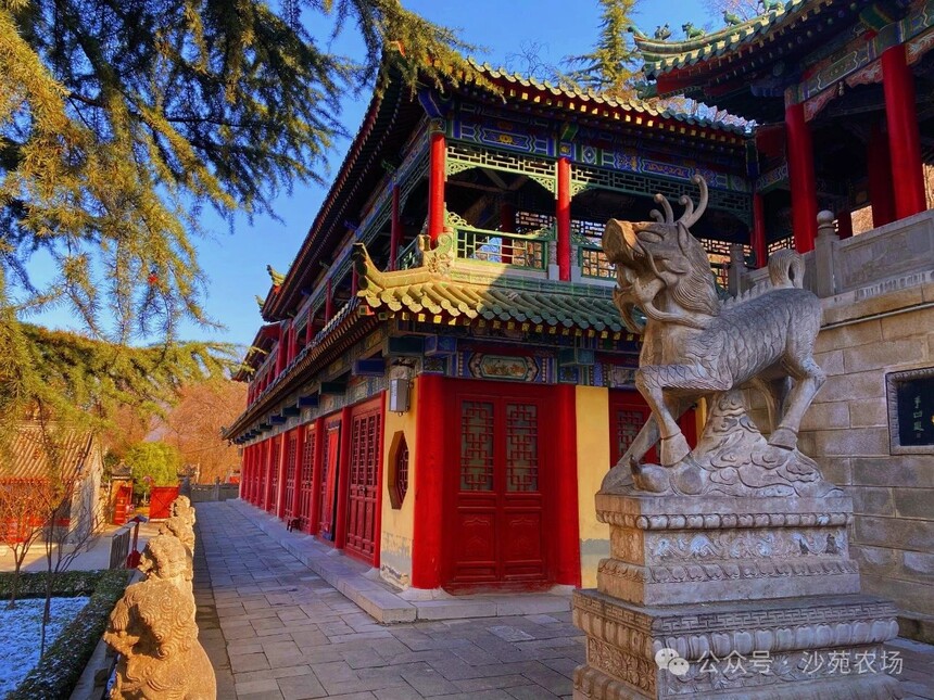 1746498395878799.jpg 微信圖片_20250506101431.jpg