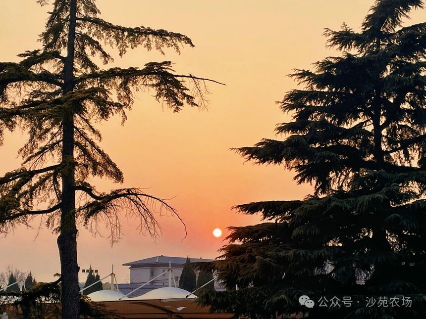 1746498409890391.jpg 微信圖片_20250506101428.jpg