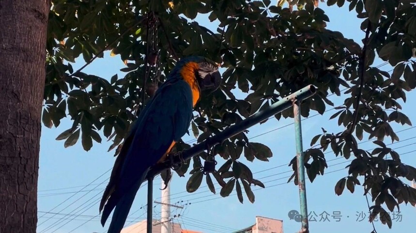 1746498427129369.jpg 微信圖片_20250506101424.jpg