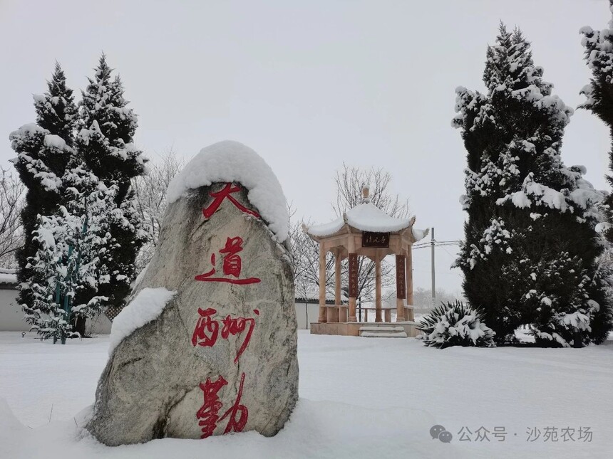 1746498466462169.jpg 微信圖片_20250506101419.jpg