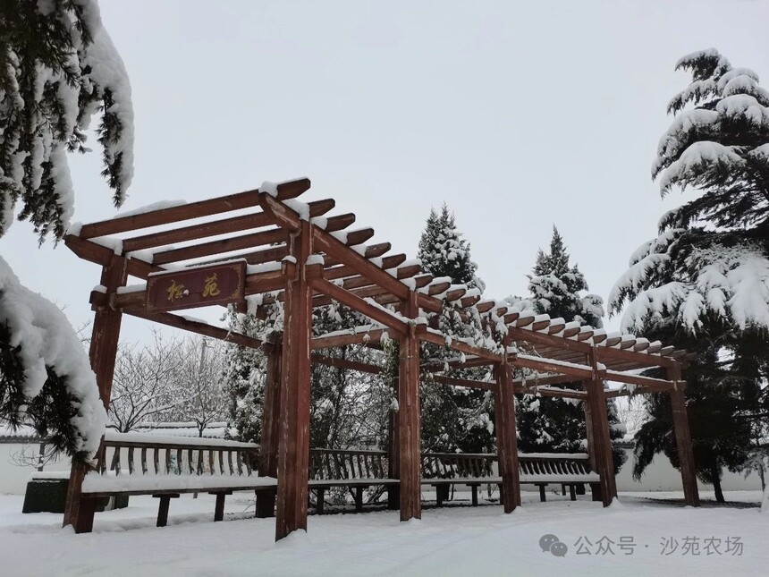 1746498482275492.jpg 微信圖片_20250506101341.jpg