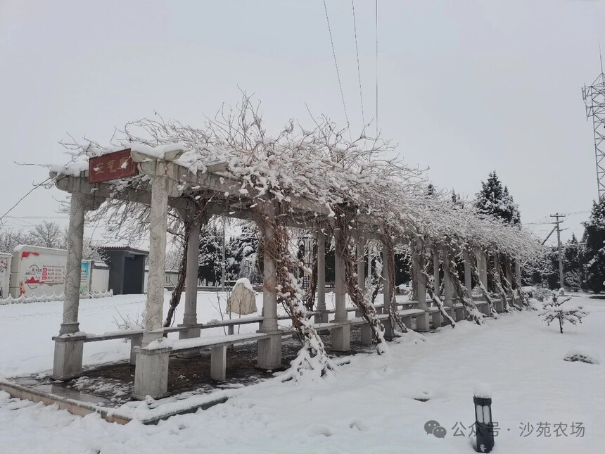 1746498500666178.jpg 微信圖片_20250506101337.jpg