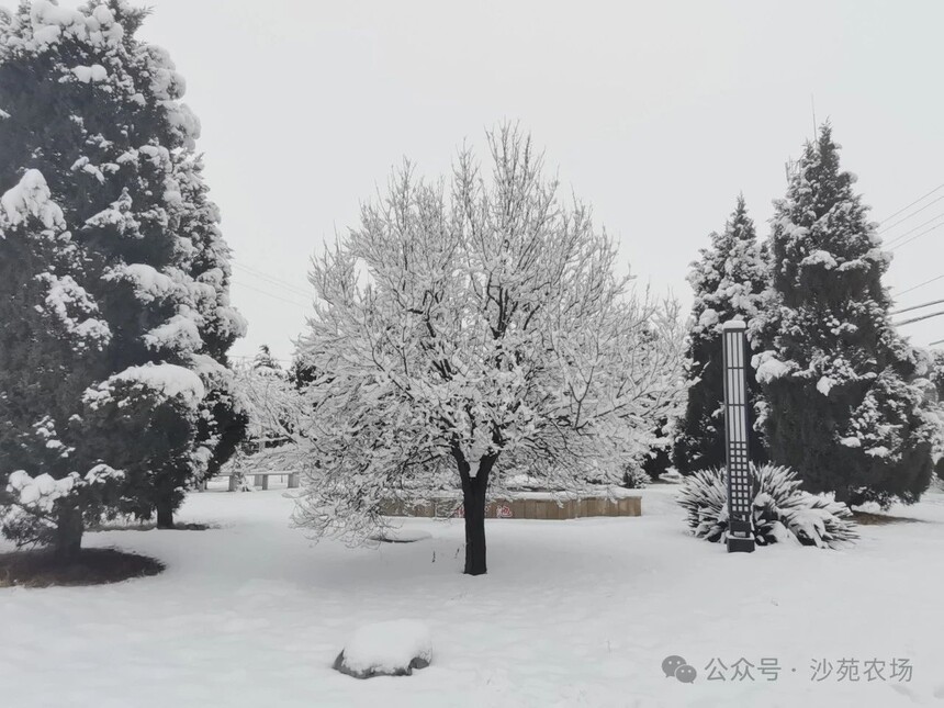 1746498642931814.jpg 微信圖片_20250506101334.jpg