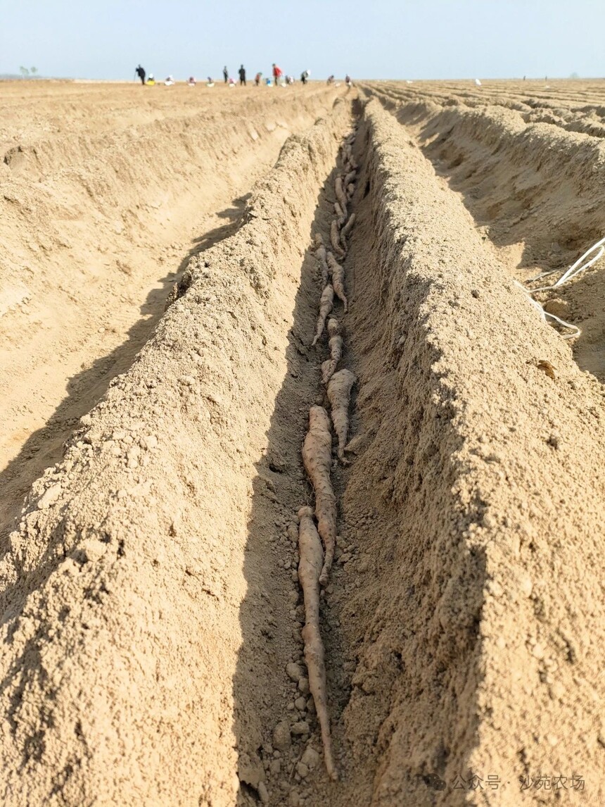 1746498661248569.jpg 微信圖片_20250506101324.jpg