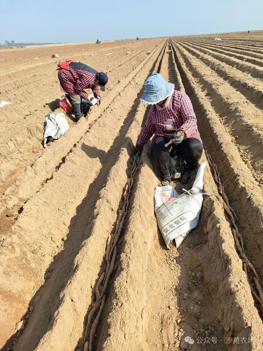 1746498684218367.jpg 微信圖片_20250506101320.jpg