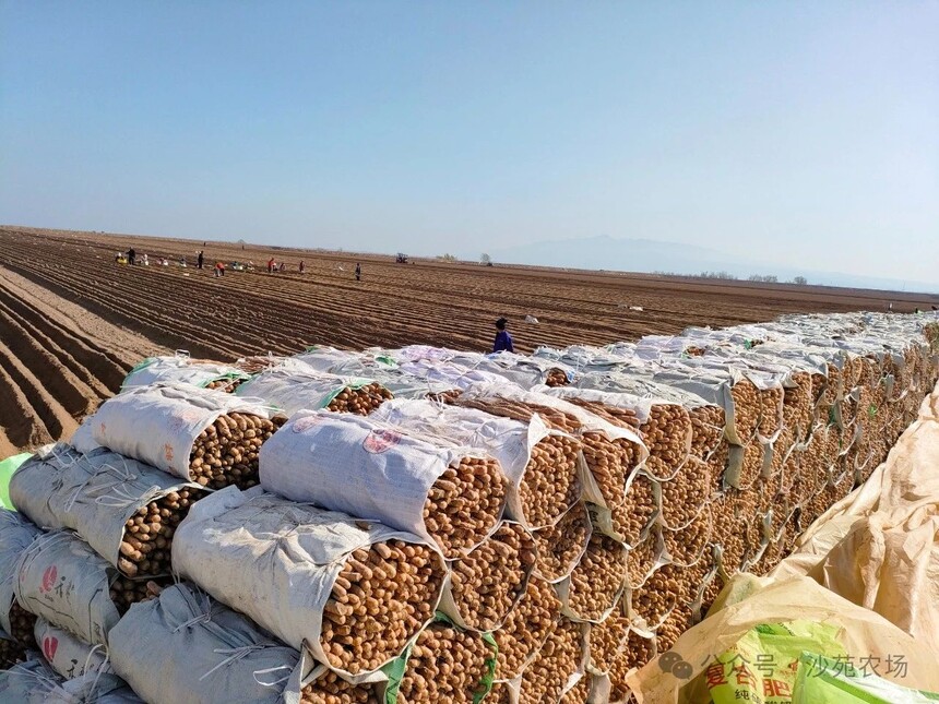 1746498703182445.jpg 微信圖片_20250506101316.jpg