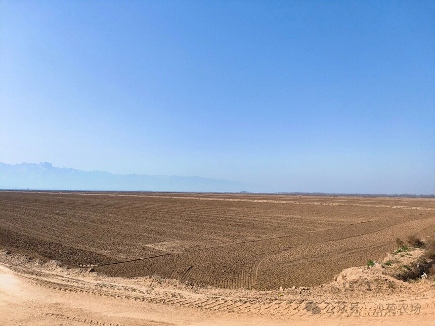 1746498724273825.jpg 微信圖片_20250506101313.jpg