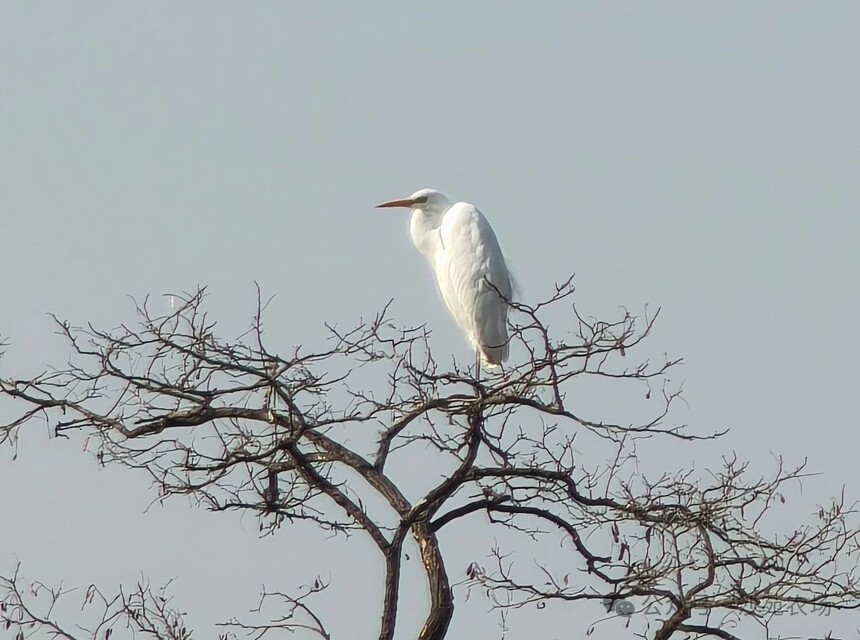 1746498782921848.jpg 微信圖片_20250506101304.jpg