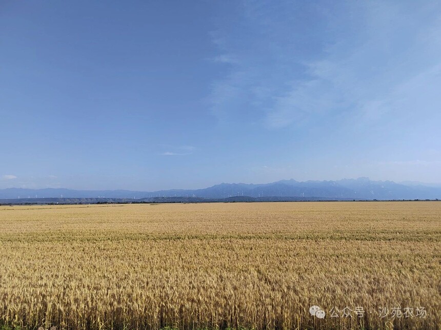 1746498799570991.jpg 微信圖片_20250506101258.jpg