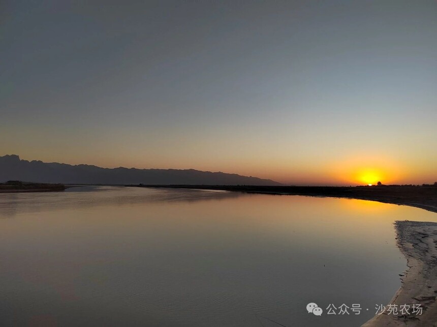 1746498856290056.jpg 微信圖片_20250506101247.jpg