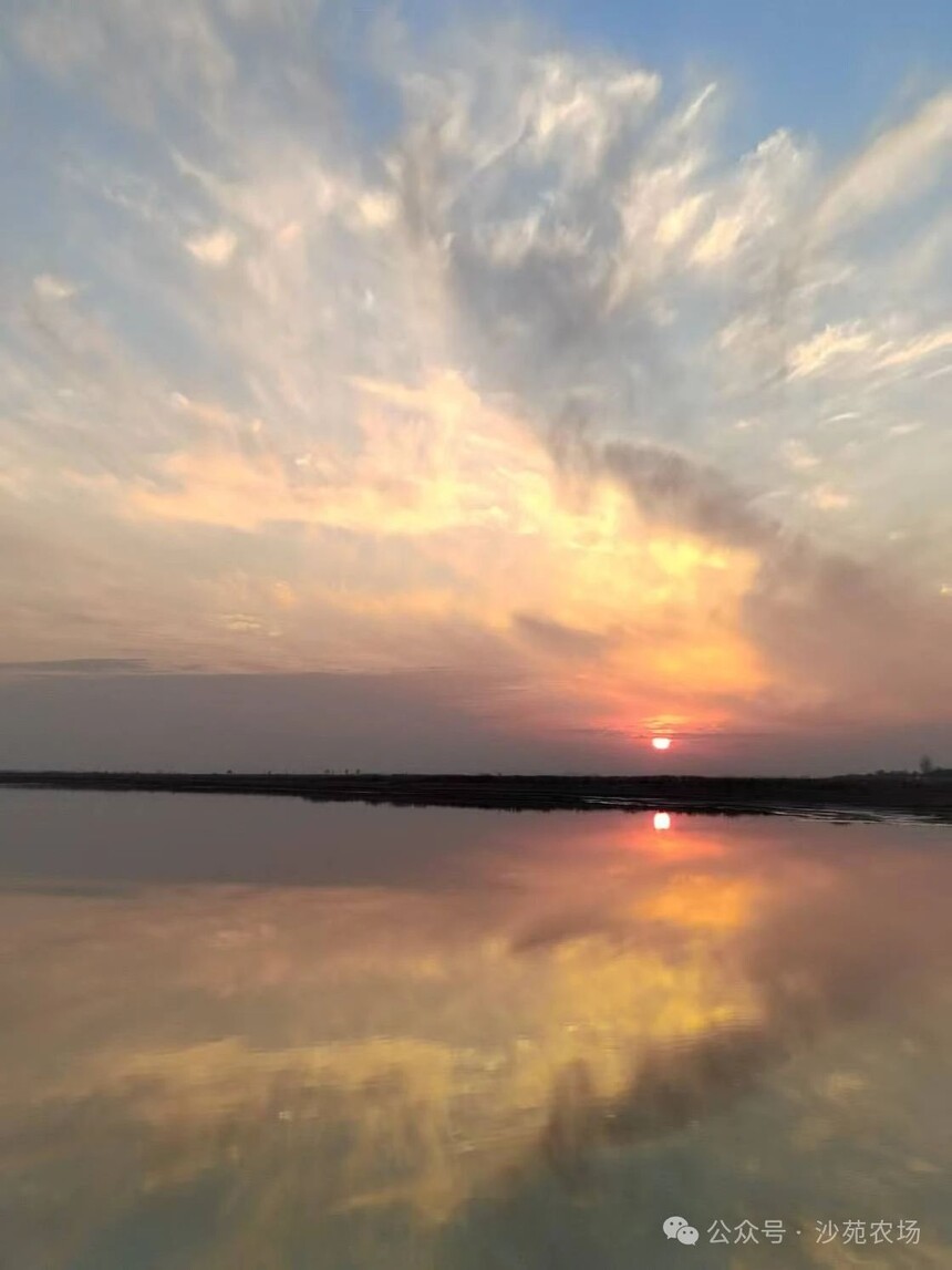 1746498868483245.jpg 微信圖片_20250506101242.jpg