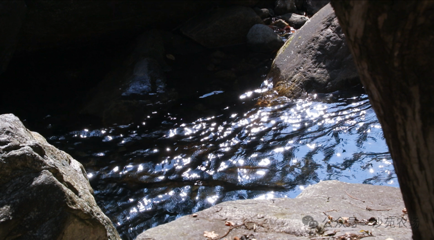 1746499951499272.png 微信圖片3png.png