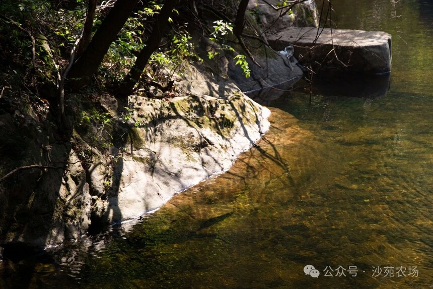 1746499978381469.jpg 微信圖片_4.jpg