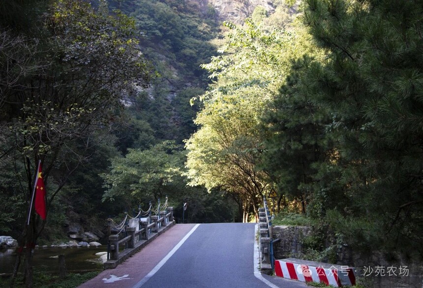 1746500046512816.jpg 微信圖片_5.jpg