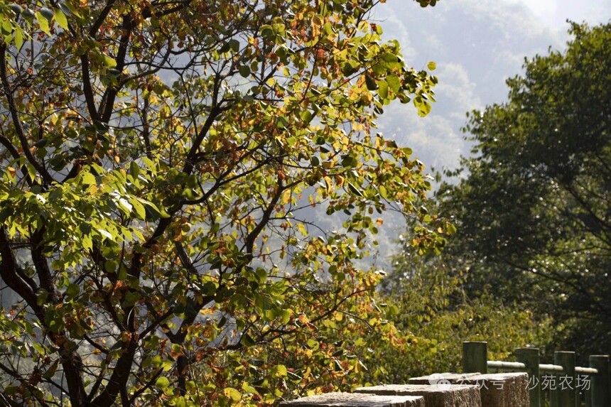 1746500071849565.jpg 微信圖片_6.jpg