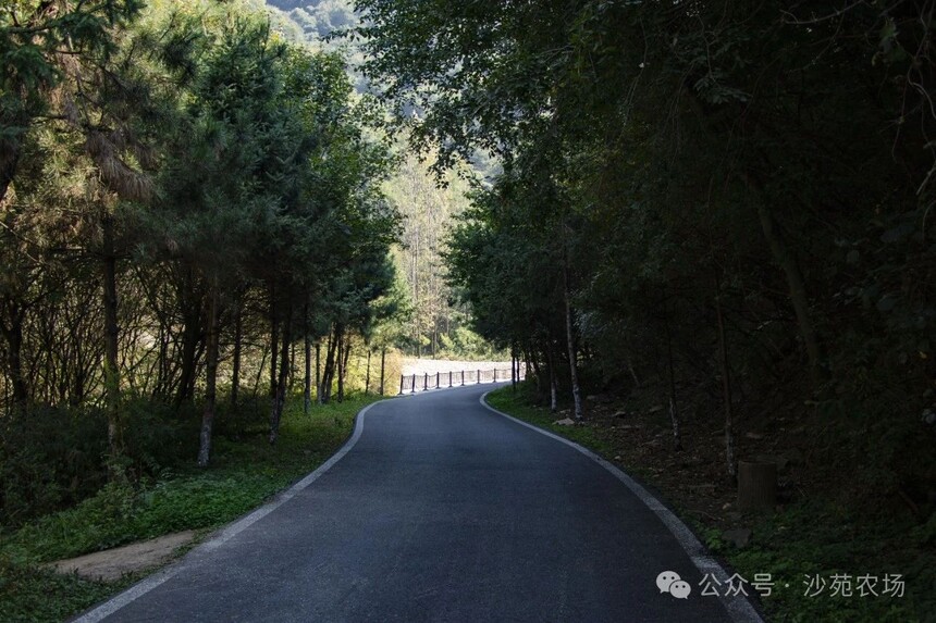 1746500144526040.jpg 微信圖片_7.jpg