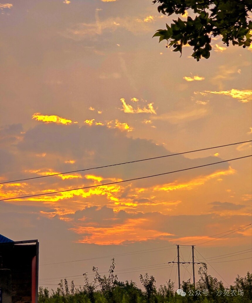 1746500221348704.jpg 微信圖片_9.jpg