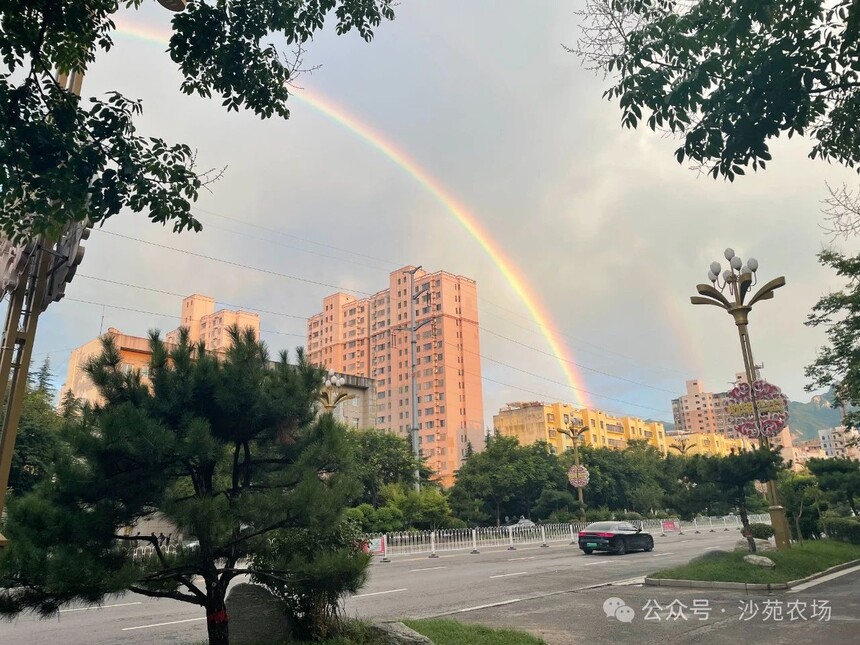 1746500242319026.jpg 微信圖片_10.jpg