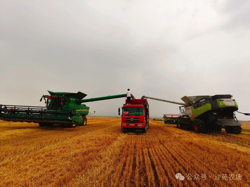 1746500262476991.jpg 微信圖片_11.jpg