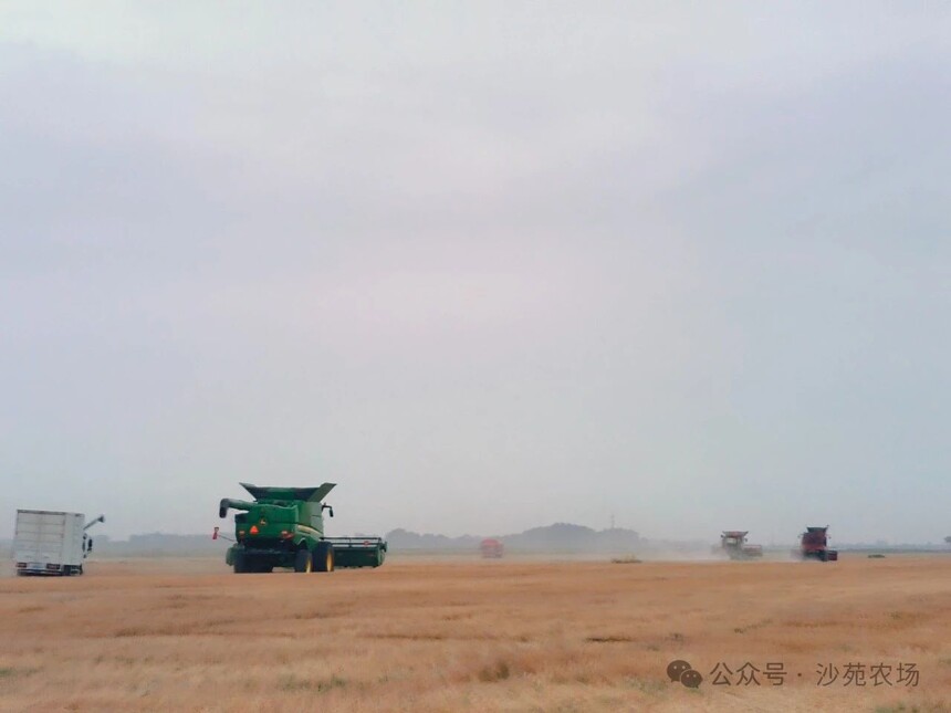 1746500282780463.jpg 微信圖片12.jpg