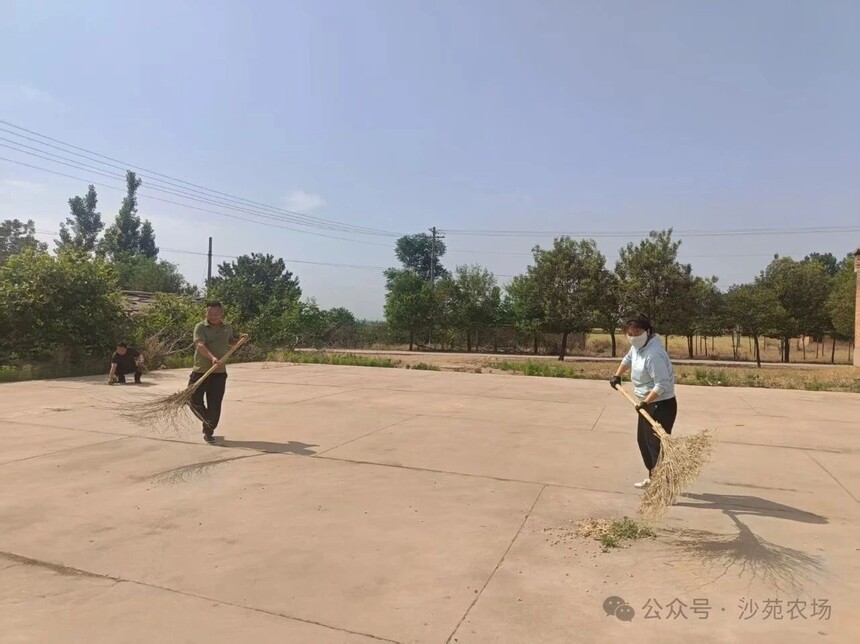 1751938091659297.jpg 微信圖片_20250708092249.jpg