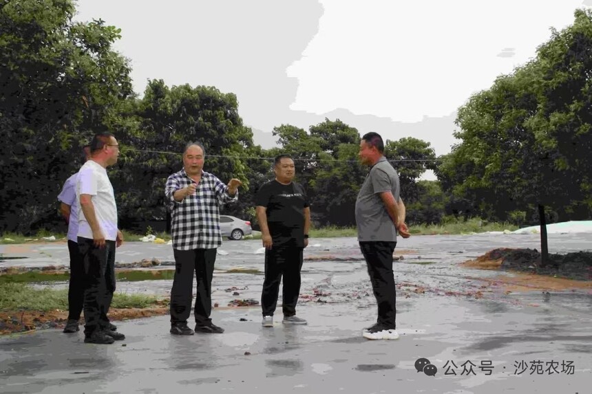 1752456937258709.jpg 50336479e42a89587c68a910b6bcad2.jpg