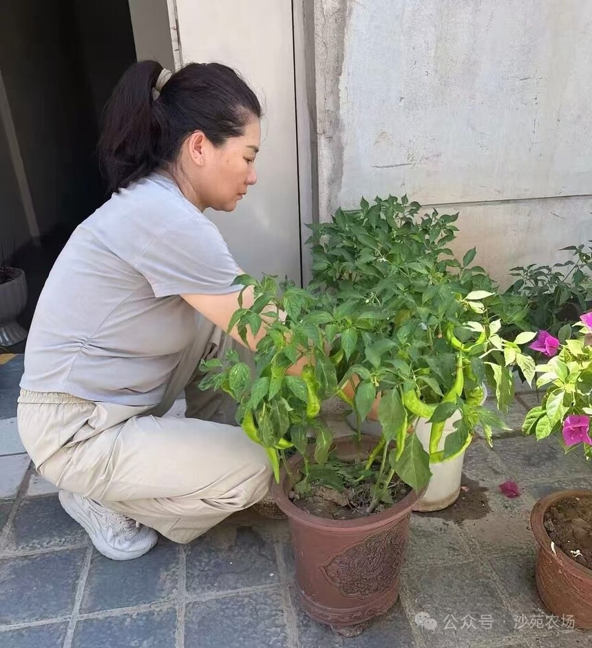 1752457245384902.jpg 414db59494e07ef9f5a44758f5a78fd.jpg