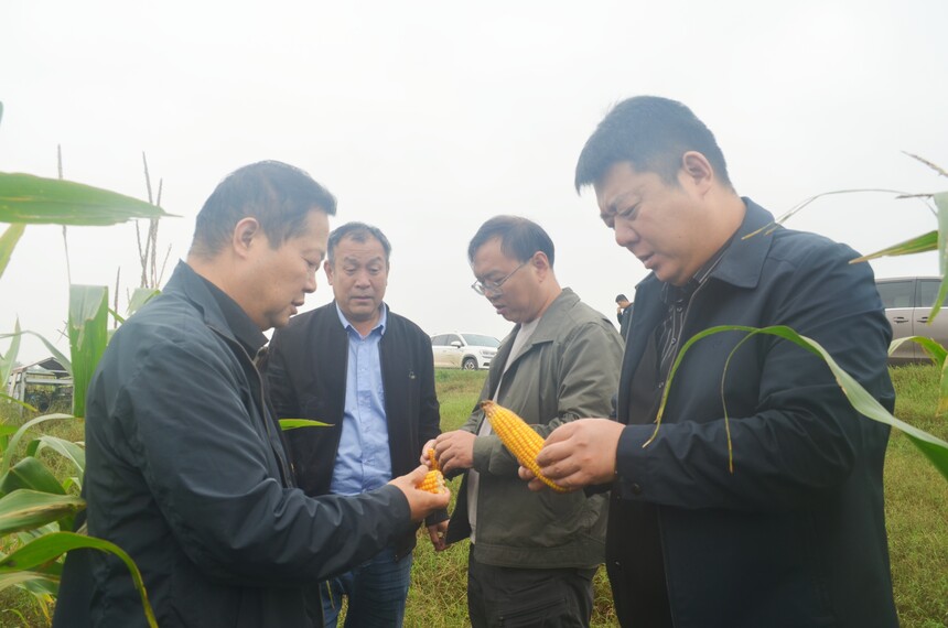 1760406449339526.jpg DSC_0703.JPG