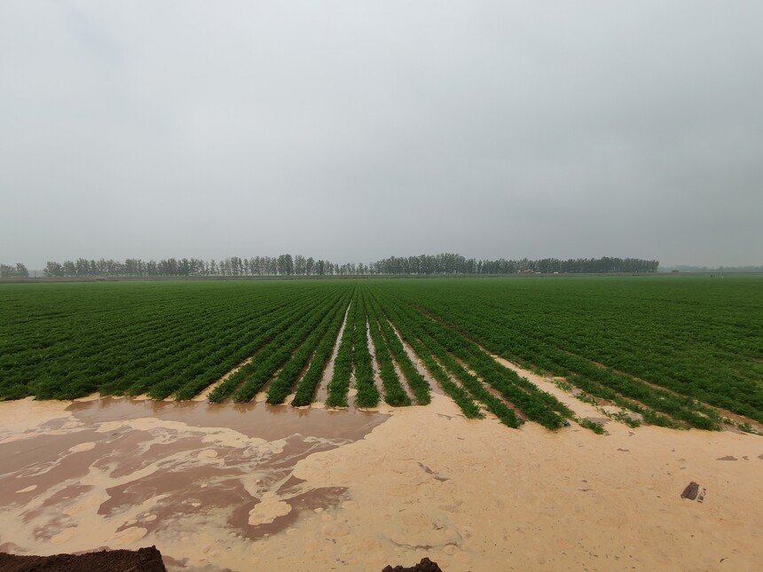 1761009709444958.jpg 微信圖片_20251014182307_274_61.jpg