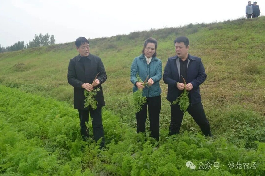 1761274342495501.jpg 微信圖片_2025-10-24_104817_032.jpg