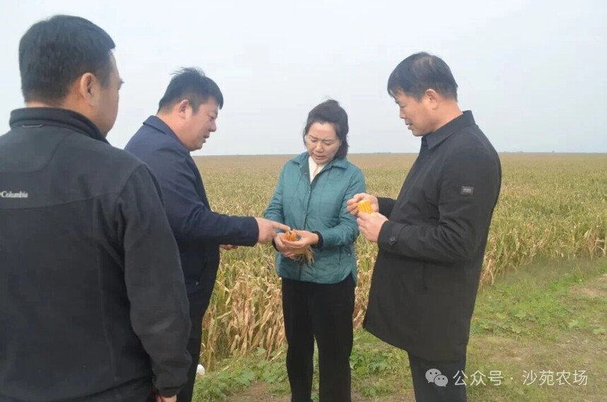 1761274361719759.jpg 微信圖片_2025-10-24_104826_672.jpg