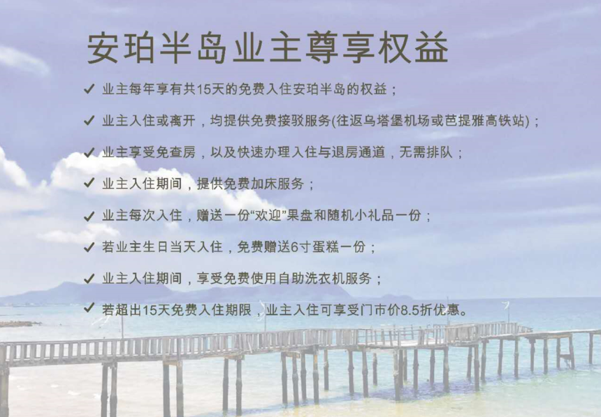 뵺β.png