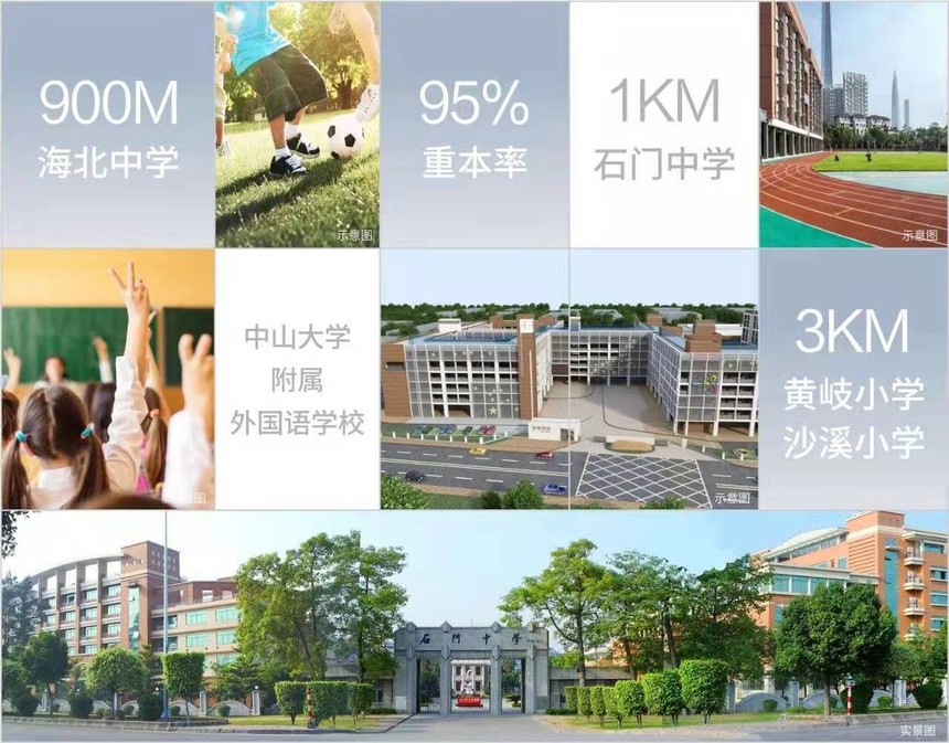 1612353765948716.jpg 11.jpg