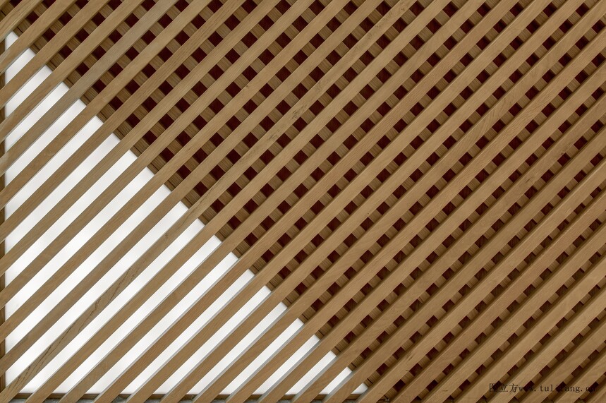 1681047273731201.jpg