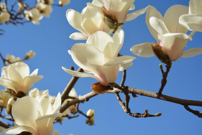 1559869190488508.jpg 微信图片_20190607080313.jpg