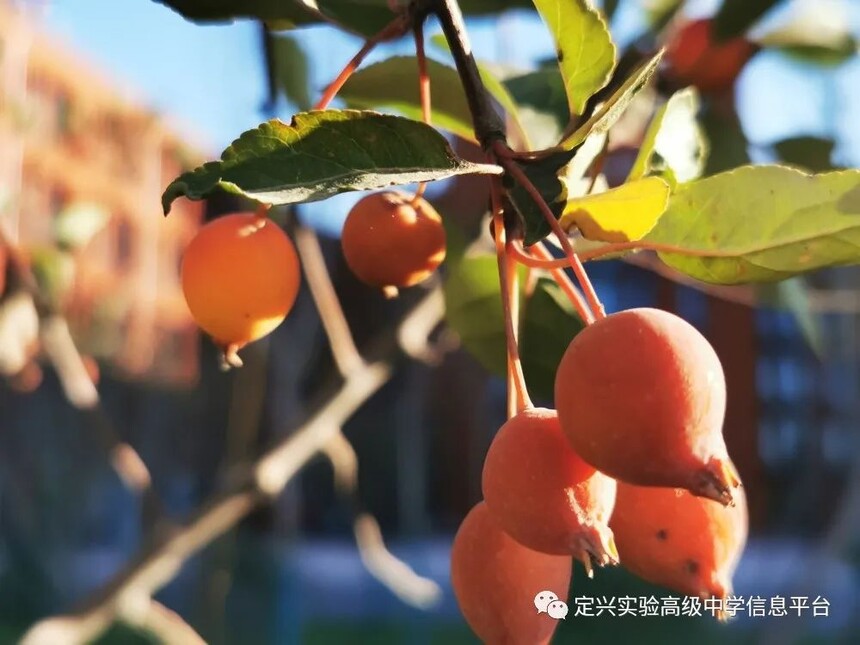 1666688155724981.jpg 尾.jpg