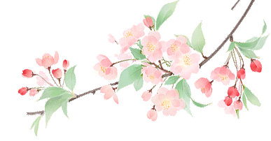 1744272087399006.gif 微信图片_20250314084440.gif