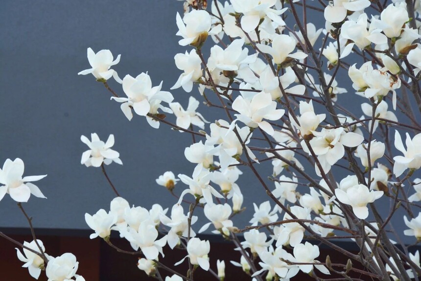 1744590372757669.jpg 2.jpg