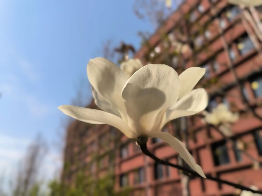 1744590384881217.jpg 3.jpg