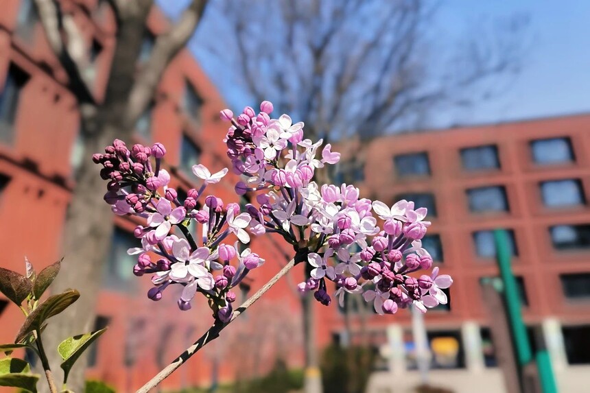 1744590398252535.jpg 4(1).jpg