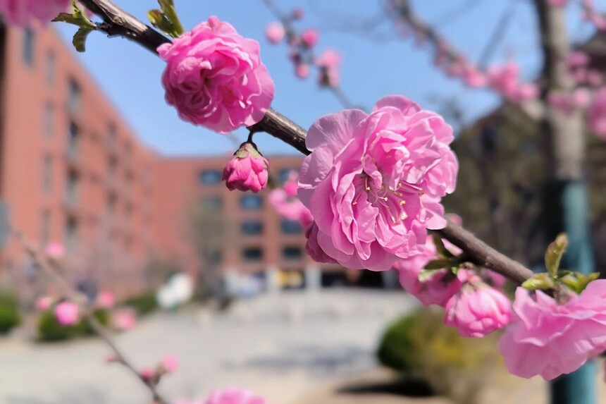 1744590410370403.jpg 4.jpg