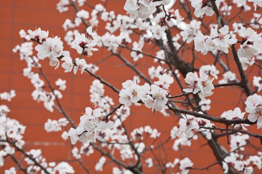 1744590431647927.jpg 6.jpg