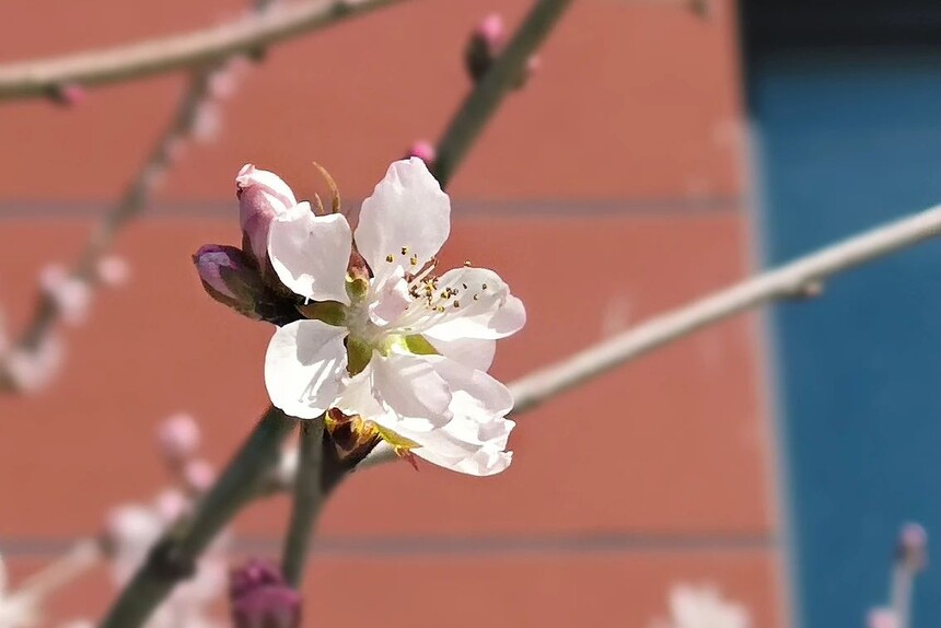 1744590441813447.jpg 7.jpg